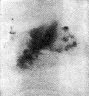.10.   NGC 2685