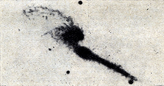 . 187.   '' NGC 4676             . ( .)