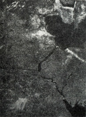 Фрагмент снимка района Азовского и Каспийского морей, полученного с ИСЗ 'Метеор' 26 мая 1979 года (2 - дельта реки Волги, 3 - река Дон)