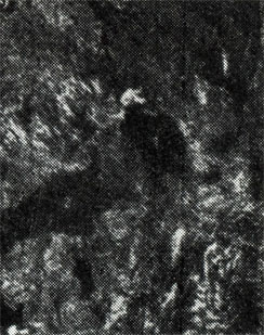 Космический снимок: Ленинградская область. Съемка произведена с ИСЗ 'Метеор' 19 августа 1979 года (1 - Ладожское озеро, 2 - Финский залив)