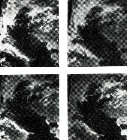 Фрагменты снимков района Каспийского моря в разных спектральных диапазонах, полученных с ИСЗ 'Метеор' 10 июня 1978 года